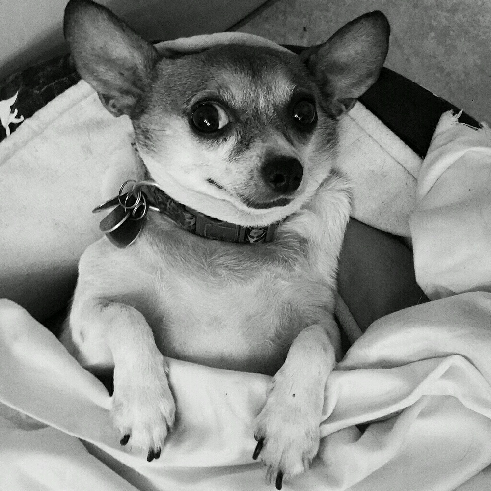 Meet your Posher, Kelly